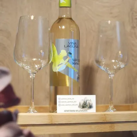 Vucko-apartmani 10 I 12-private Host